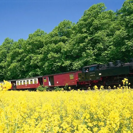 Lägenhet Zentrale Mit Sonniger Terrasse Bernstein