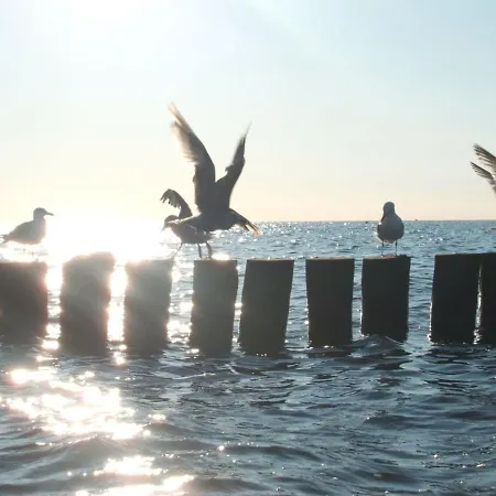 Zentrale Mit Sonniger Terrasse Bernstein * Ostseebad Kühlungsborn